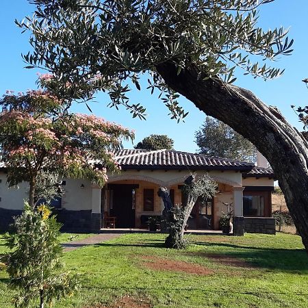 Hotel Rural - La Osa Mayor - 4 Estrellas Villasrubias Экстерьер фото